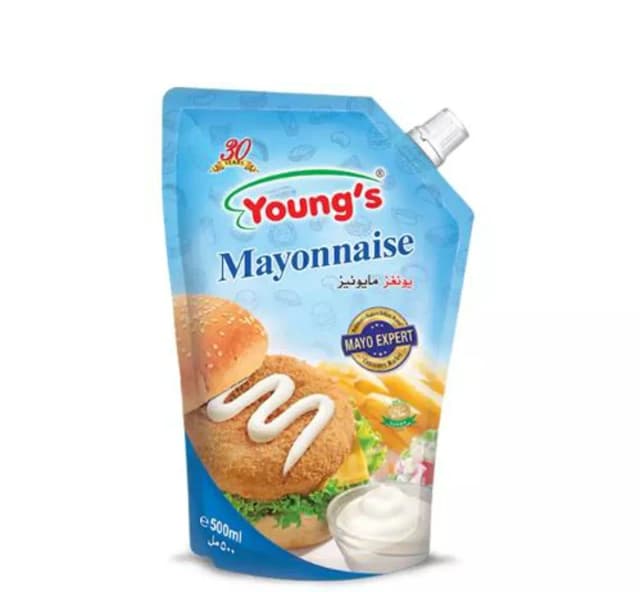 Youngs Regular Mayonnaise 500Gm